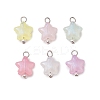 Luminous Acrylic Charms PALLOY-JF03320-02-1
