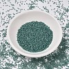 MIYUKI Delica Beads X-SEED-J020-DB1768-2
