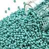 TOHO 11/0 Round Beads X-SEED-TR11-0413-1