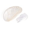 Abalone Shells Ornaments SHEL-T020-54-3