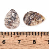 Natural Akoya Shell Pendants SHEL-T020-22-3