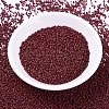 MIYUKI Delica Beads Small LS-X-SEED-J020-DBS0378-2