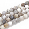 Natural Bamboo Leaf Agate Beads Strands X-G-T106-027-1