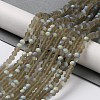 Transparent Glass Beads Strands X1-EGLA-A034-T4mm-MB16-2