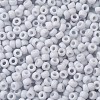 TOHO Round Seed Beads SEED-JPTR08-0767-2