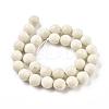 Natural Fossil Round Bead Strands G-O151-02-12mm-2