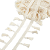 Cotton Fringe Lace Trim Ribbon OCOR-WH0105-008C-1