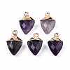 Natural Amethyst Pendants G-N326-134-02-2