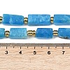 Natural Apatite Beads Strands G-D353-A23-5
