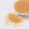 12/0 Grade A Round Glass Seed Beads X-SEED-Q010-F534-1