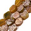 Dyed Natural Agate Beads Strands G-Q606-23E-06-1