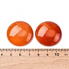 Natural Agate Cabochons G-K348-08B-02-3