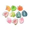 Opaque Resin Cabochons FIND-E058-01-1