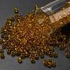 TOHO 6/0 Round Beads X-SEED-TR06-2155-1