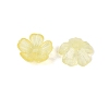 Transparent Plastic Bead Caps KY-Q005-02A-02-3