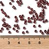 Baking Paint Glass Seed Beads X-SEED-S042-15A-19-4