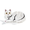 Cat Shape PVC Claw Hair Clips PW-WG79825-06-1