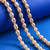 Natural Cultured Freshwater Pearl Beads Strands PEAR-T001-06B-5