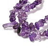 Natural Amethyst Beads Strands G-G0003-B44-4