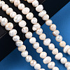 Natural Cultured Freshwater Pearl Beads Strands LS-PEAR-N013-04E-6