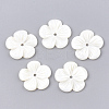 Freshwater Shell Beads SHEL-S274-08-1