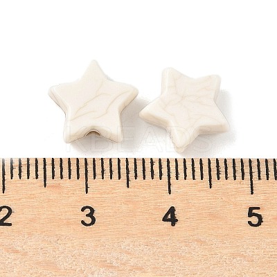 Synthetic Howlite Beads G-V001-001C-1