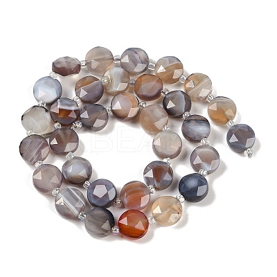 Natural Botswana Agate Beads Strands G-C116-A65-01-1