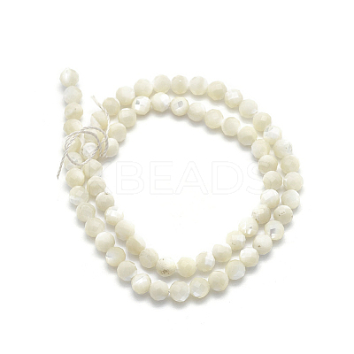 Natural White Shell Beads G-O171-09-6mm-1