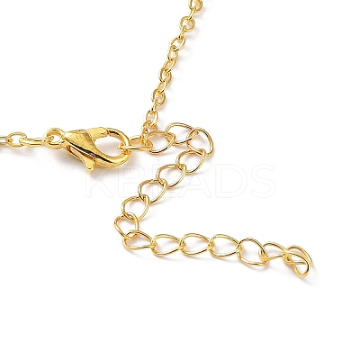 Alloy with Clear Cubic Zirconia Pendant Necklace for Women LS-NJEW-G107-02G-1