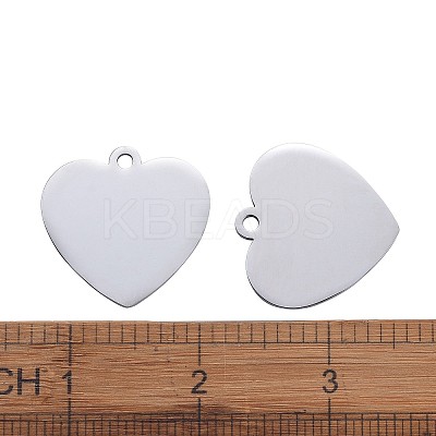 Tarnish Resistant 304 Stainless Steel Pendants LS-STAS-I140-10B-S-1