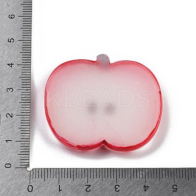 Luminous Resin Fruit Slice Display Decoration DJEW-B014-1