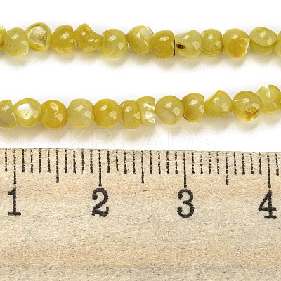 Natural White Shell Dyed Beads Strands BSHE-Z005-03F-1