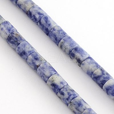 Natural Blue Spot Jasper Bead Strands X-G-R187-06-1