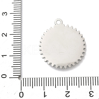 304 Stainless Steel & Rhinestone Pendants STAS-G371-09G-01P-1