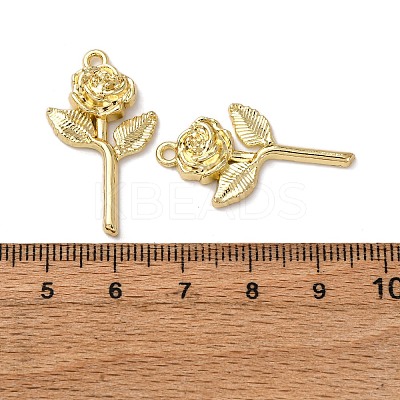 Alloy Pendants LS-FIND-Z095-12G-1