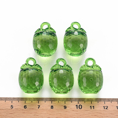 Autumn Theme Transparent Acrylic Pendants TACR-T024-04B-925-1