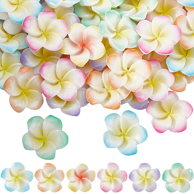 60Pcs 6 Colors Opaque Resin Decoden Cabochons RESI-SC0005-83D-1