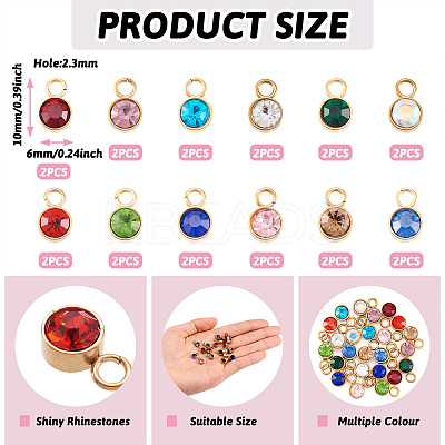 24Pcs 12 Colors Glass Rhinestone Charms STAS-TA0002-68-1