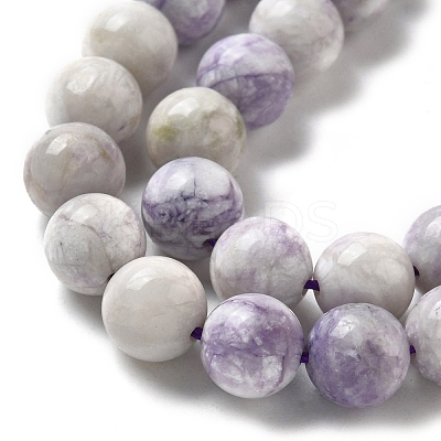 Natural Purple Turquoise Beads Strands G-L595-C04-02-1