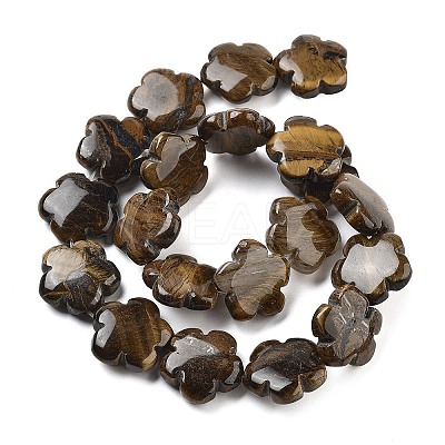 Natural Tiger Eye Beads Strands G-F769-H01-02-1