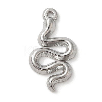304 Stainless Steel Pendants STAS-C110-06P-1