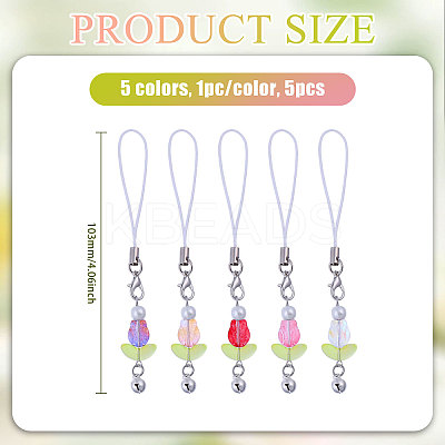 5Pcs Lampwork & Glass Pearl Mobile Straps HJEW-CA00042-1