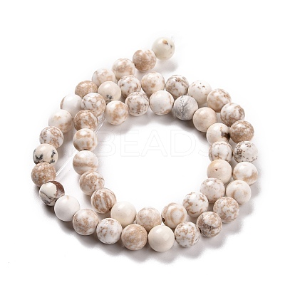Natural Magnesite Beads Strands TURQ-P027-22-8mm-1