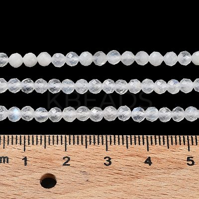 Natural Rainbow Moonstone Beads Strands X-G-J400-E12-01-1
