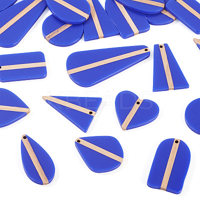 20Pcs 10 Styles Opaque Resin & Wood Pendants RESI-TA0004-68-1