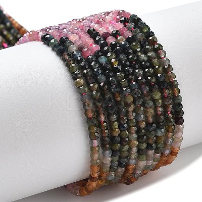 Gradient Color Natural Colorful Tourmaline Beads Strands G-P556-A02-01-1