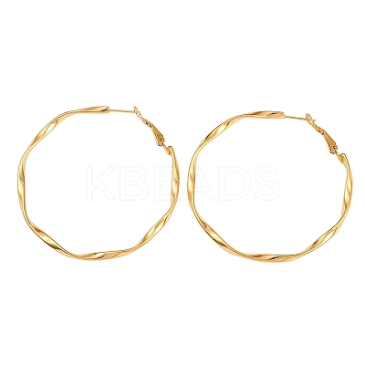 304 Stainless Steel Hoop Earrings EJEW-I320-25G-03-1