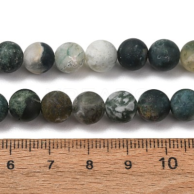 Natural Tree Agate Beads Strands G-T106-038-1