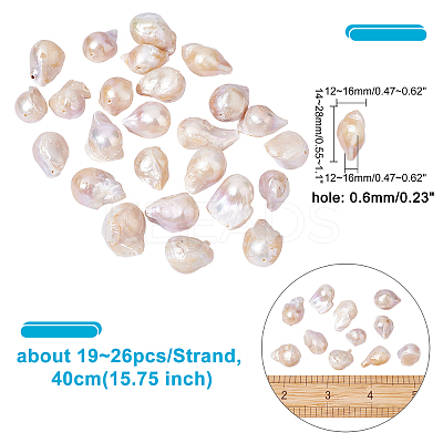 1 Strand Natural Baroque Pearl Keshi Pearl Beads Strands PEAR-NB0001-28-1
