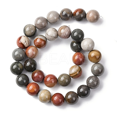 Natural Alashan Agate Beads Strands G-H343-D05-12mm-A-1